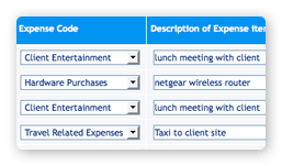 Record Expenses