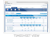 Timesheet View