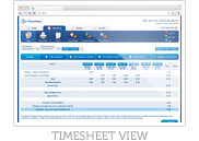 Timesheet View